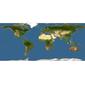 Discover Life: Point Map of Tupaia gracilis